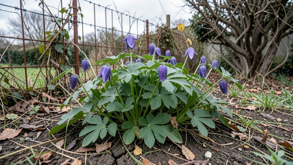 World's Deadliest Garden: The Most Toxic Plants Grown for Their Lethal Appeal